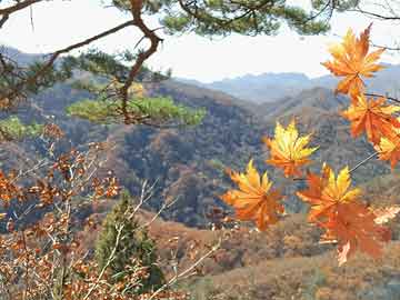 私人打胎药大月份胎停药证监会：优化基金运营模式，建立健全基金公司收入报酬与投资者回报绑定机制