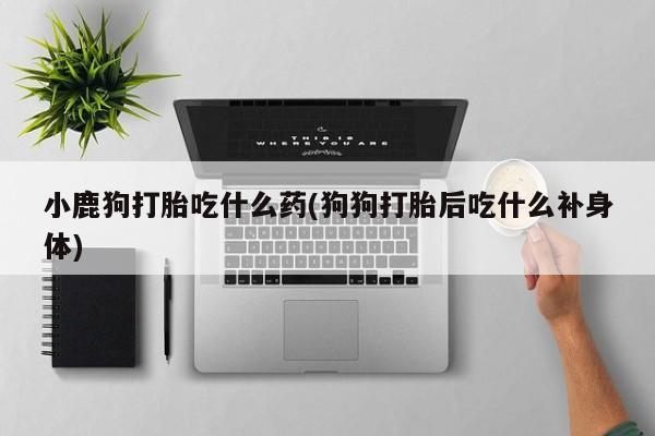 私人打胎药大月份胎停药小鹿狗打胎吃什么药(狗狗打胎后吃什么补身体)