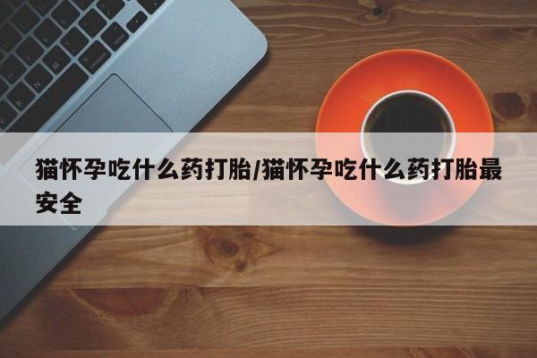 私人打胎药大月份胎停药猫怀孕吃什么药打胎/猫怀孕吃什么药打胎最安全