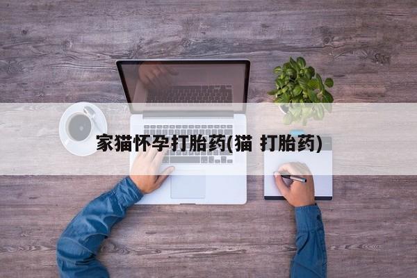 私人打胎药大月份胎停药家猫怀孕打胎药(猫 打胎药)
